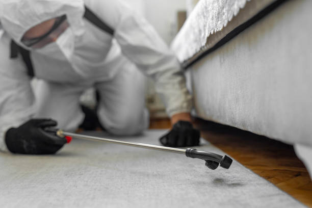 Professional Ant Control technician working in Coushatta, LA