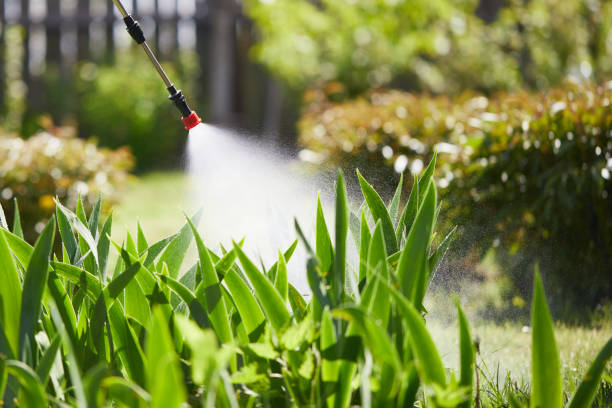 24/7 Emergency Mosquito Control experts in Coushatta, LA